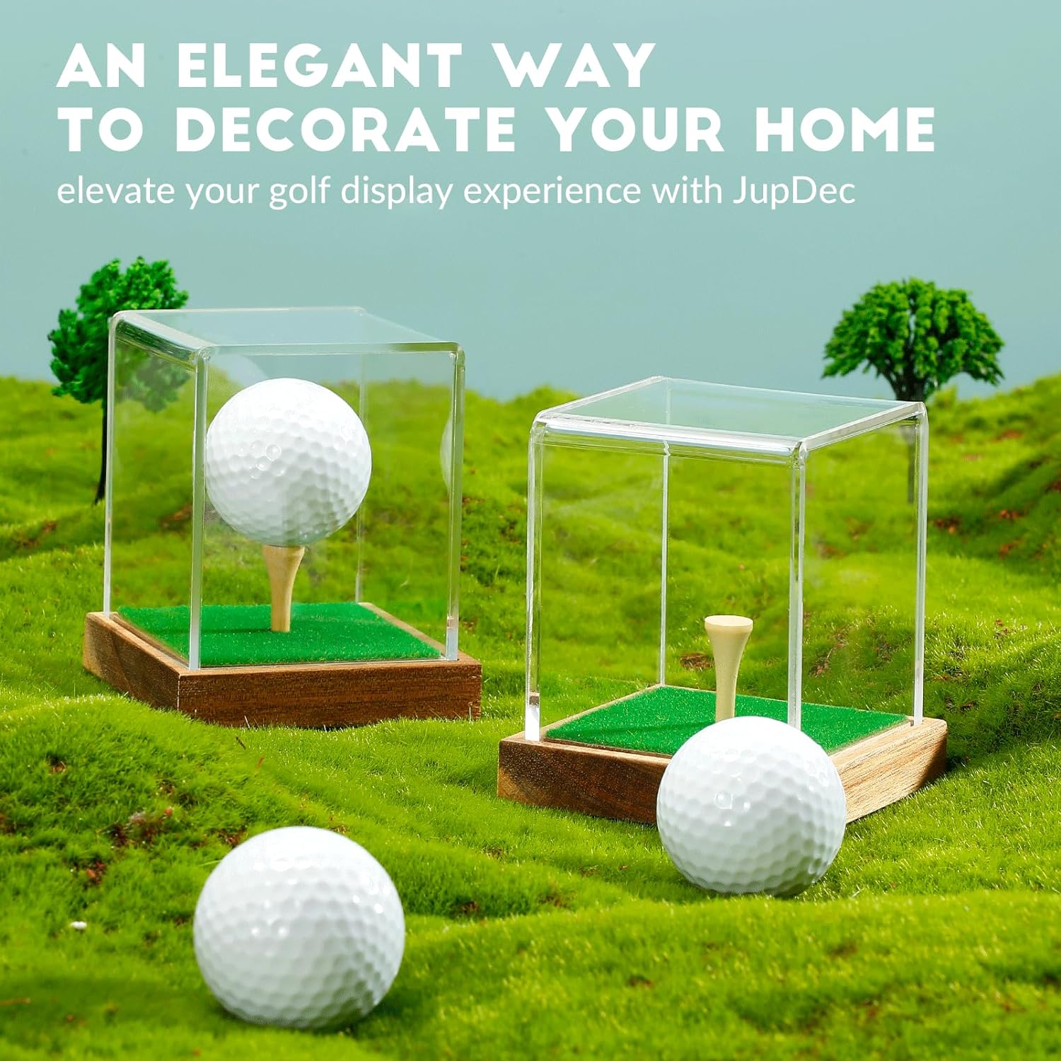360-degree clear acrylic view for signed or collectible golf balls